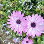 ヒメ日記 2025/04/23 17:02 投稿 さゆり 大宮おかあさん