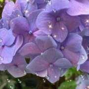 ヒメ日記 2025/07/01 17:21 投稿 さゆり 大宮おかあさん