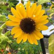 ヒメ日記 2025/08/21 16:56 投稿 さゆり 大宮おかあさん