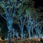 ヒメ日記 2024/12/21 02:55 投稿 れん 千葉人妻セレブリティ（ユメオト）