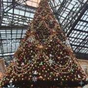 ヒメ日記 2024/12/25 23:56 投稿 れん 千葉人妻セレブリティ（ユメオト）