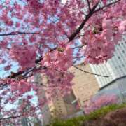 ヒメ日記 2025/04/09 23:10 投稿 れん 千葉人妻セレブリティ（ユメオト）