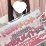 ヒメ日記 2025/11/21 21:42 投稿 みひろ 美少女制服学園CLASSMATE　五反田校