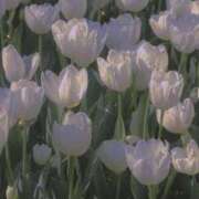 ヒメ日記 2026/02/26 20:39 投稿 亜希歩 新宿人妻城