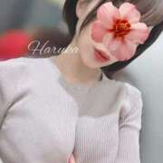 ヒメ日記 2025/06/25 17:40 投稿 はるか Sakura Spa