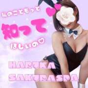 ヒメ日記 2025/11/12 10:26 投稿 はるか Sakura Spa