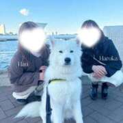 ヒメ日記 2026/01/15 18:00 投稿 はるか Sakura Spa