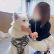 ヒメ日記 2026/01/16 11:50 投稿 はるか Sakura Spa