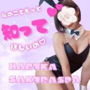 ヒメ日記 2026/04/16 22:20 投稿 はるか Sakura Spa
