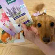 ヒメ日記 2026/04/29 13:00 投稿 はるか Sakura Spa