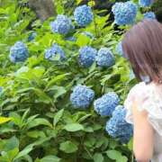 ヒメ日記 2026/07/08 10:30 投稿 はるか Sakura Spa