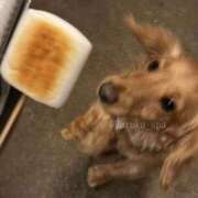 ヒメ日記 2026/08/20 09:50 投稿 はるか Sakura Spa