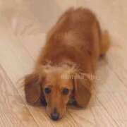ヒメ日記 2026/09/29 10:40 投稿 はるか Sakura Spa