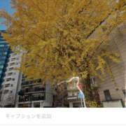 ヒメ日記 2024/12/17 11:31 投稿 りり バッドカンパニー土浦店