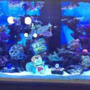 ヒメ日記 2025/03/09 18:04 投稿 小花 熟女の風俗最終章 横浜本店