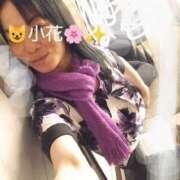 ヒメ日記 2025/03/20 14:50 投稿 小花 熟女の風俗最終章 横浜本店