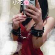 ヒメ日記 2025/04/06 09:58 投稿 小花 熟女の風俗最終章 横浜本店