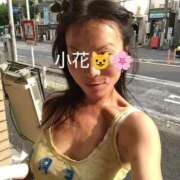 ヒメ日記 2025/08/22 16:08 投稿 小花 熟女の風俗最終章 横浜本店