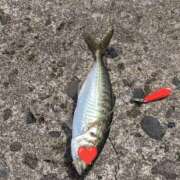 ヒメ日記 2025/08/29 20:04 投稿 小花 熟女の風俗最終章 横浜本店