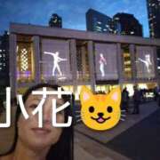 ヒメ日記 2025/09/11 15:44 投稿 小花 熟女の風俗最終章 横浜本店