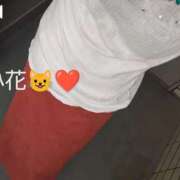 ヒメ日記 2025/09/16 10:25 投稿 小花 熟女の風俗最終章 横浜本店