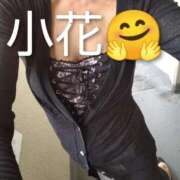 ヒメ日記 2025/09/18 11:42 投稿 小花 熟女の風俗最終章 横浜本店