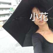 ヒメ日記 2025/10/03 17:14 投稿 小花 熟女の風俗最終章 横浜本店