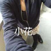 ヒメ日記 2025/11/13 11:14 投稿 小花 熟女の風俗最終章 横浜本店