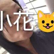 ヒメ日記 2025/11/13 15:24 投稿 小花 熟女の風俗最終章 横浜本店