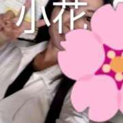 ヒメ日記 2025/12/15 11:44 投稿 小花 熟女の風俗最終章 横浜本店