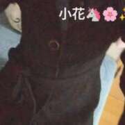 ヒメ日記 2026/01/04 11:20 投稿 小花 熟女の風俗最終章 横浜本店