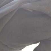 ヒメ日記 2026/01/29 11:20 投稿 小花 熟女の風俗最終章 横浜本店