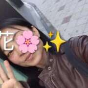 ヒメ日記 2026/01/30 13:54 投稿 小花 熟女の風俗最終章 横浜本店