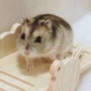 小花 今むかってます😺🌸 熟女の風俗最終章 横浜本店