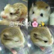 ヒメ日記 2026/03/08 17:08 投稿 小花 熟女の風俗最終章 横浜本店