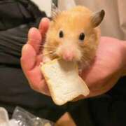 ヒメ日記 2026/03/19 08:10 投稿 小花 熟女の風俗最終章 横浜本店