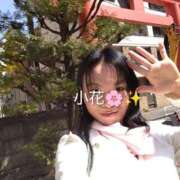 ヒメ日記 2026/03/24 12:26 投稿 小花 熟女の風俗最終章 横浜本店