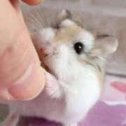 ヒメ日記 2026/03/26 15:44 投稿 小花 熟女の風俗最終章 横浜本店