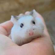 ヒメ日記 2026/03/27 06:54 投稿 小花 熟女の風俗最終章 横浜本店