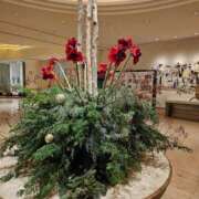 ヒメ日記 2025/03/03 17:24 投稿 めい ごほうびSPA横浜店