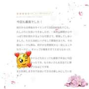 ヒメ日記 2025/03/27 21:05 投稿 めい ごほうびSPA横浜店