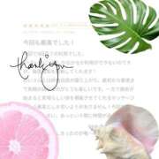 ヒメ日記 2025/07/24 18:14 投稿 めい ごほうびSPA横浜店