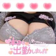 ヒメ日記 2025/04/15 11:04 投稿 あんな ごほうびSPA横浜店