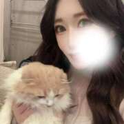 ヒメ日記 2026/04/16 20:52 投稿 いろは アロー