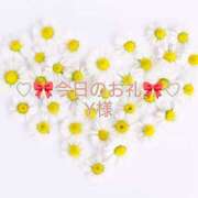 ヒメ日記 2024/12/29 13:49 投稿 ひまり プールサイド新橋店