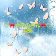 ヒメ日記 2024/12/29 19:24 投稿 ひまり プールサイド新橋店