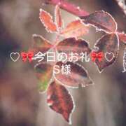 ヒメ日記 2025/10/25 01:18 投稿 ひまり プールサイド新橋店