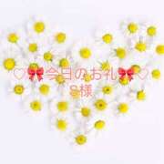 ヒメ日記 2025/11/02 17:01 投稿 ひまり プールサイド新橋店