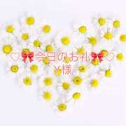 ヒメ日記 2025/11/22 01:22 投稿 ひまり プールサイド新橋店