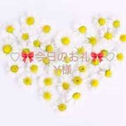 ひまり 新規Y様 プールサイド新橋店